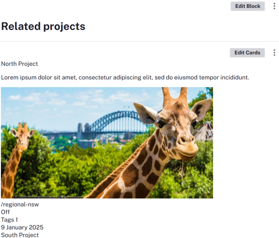 North project set up with the Cards component. The Block component is used on top to add a title of Related projects for the component.