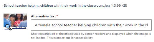 The white plus icon on top of the preview image for an image file.