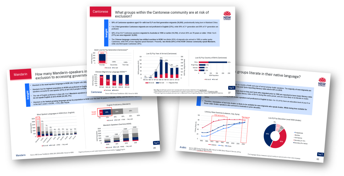 CALD Accessibility Guidance Tool pdf