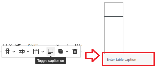 The caption field with instructional text 'enter table caption'.