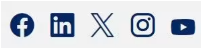 Icons for Facebook, LinkedIn, X, Instagram and Youtube as it appears on nsw.gov.au.